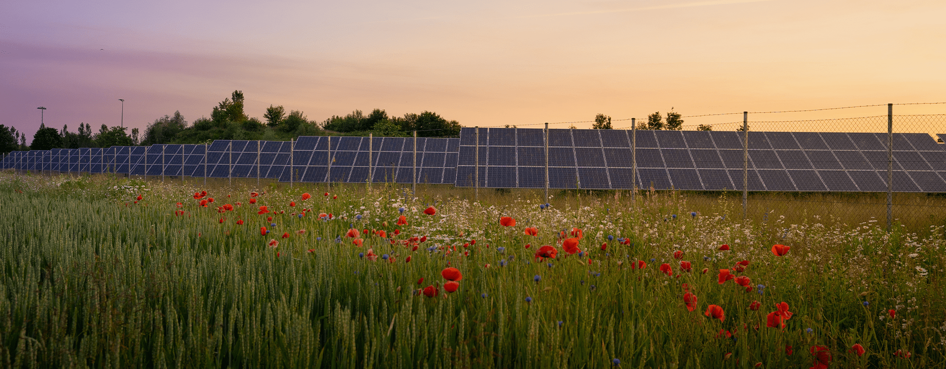Panneaux photovoltaïque au sol