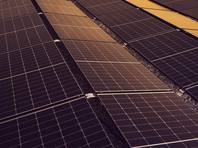 Panneaux solaires installés sur une toiture