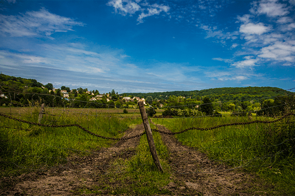 Prairie verte française