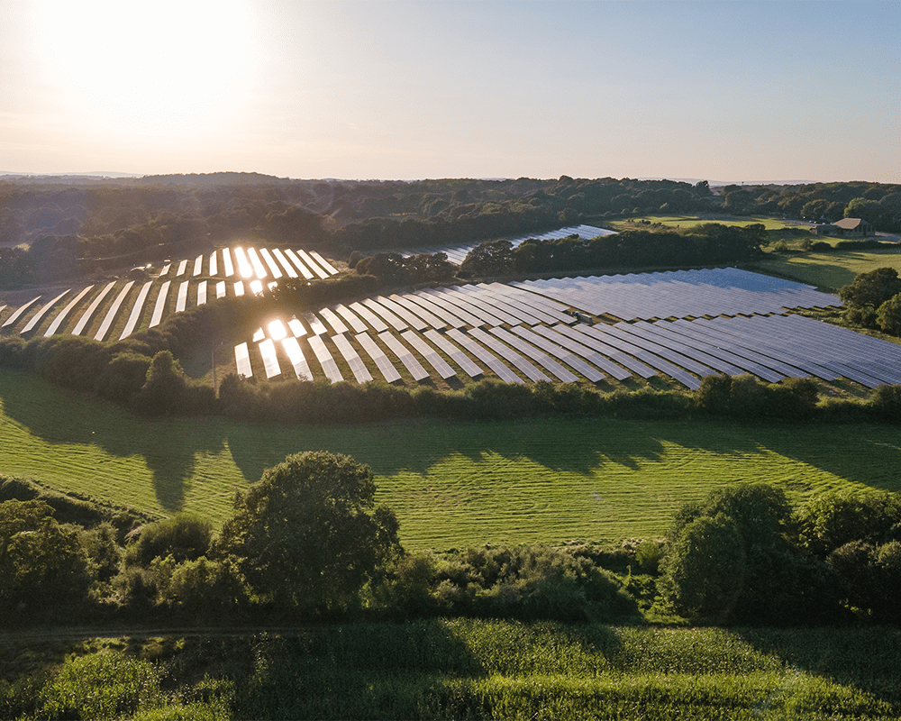 Centrale photovoltaïque au sol dans un pré